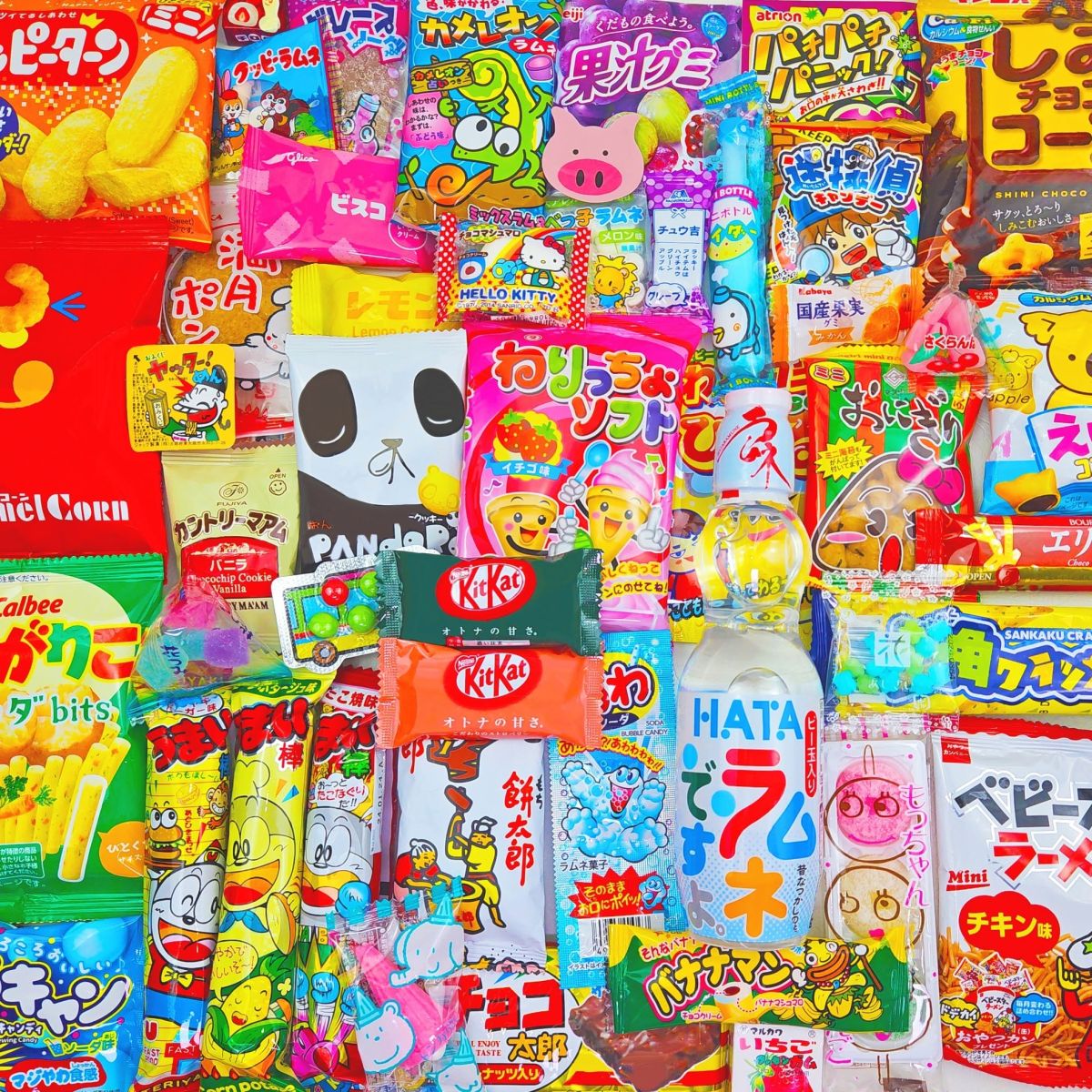 Sakura Box - Buy 1 Get 1 Free Warehouse Clearance