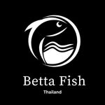 Thailand betta fish Coupons and Promo Code